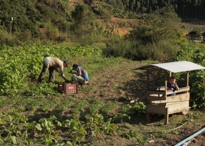 Foto de um homem e uma mulher coletando legumes de uma plantação, uma criança está dentro de uma carriola de verduras um pouco mais ao longe.
