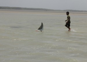 Foto de um garoto dentro da agua em uma praia, brinca com seu barco a vela de brinquedo.