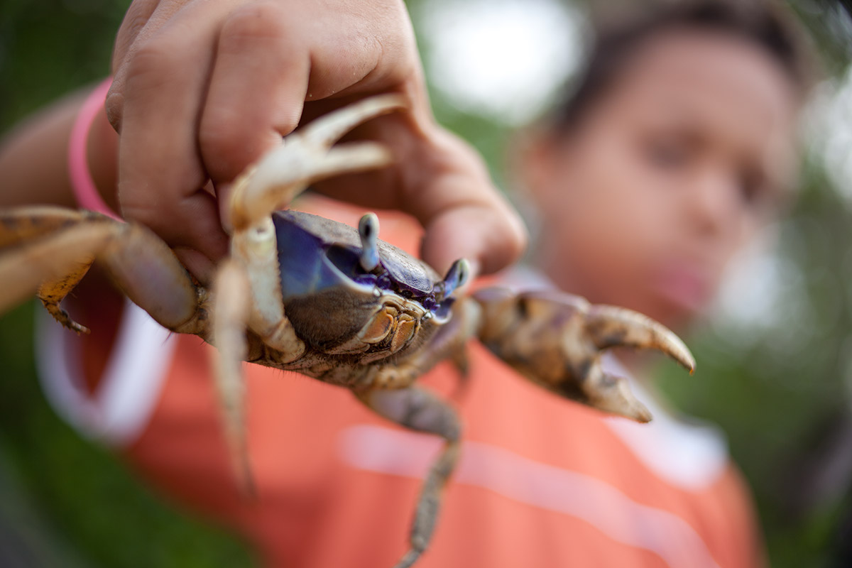 Foto de um garoto segurando um caranguejo com sua mão direita.