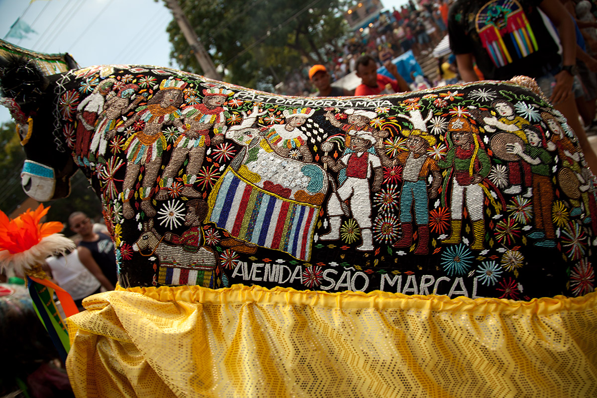 Foto de um bumba meu boi.