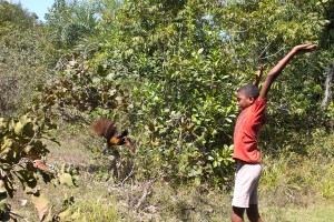 Foto de garoto com as mãos levantadas ele solta uma ave.