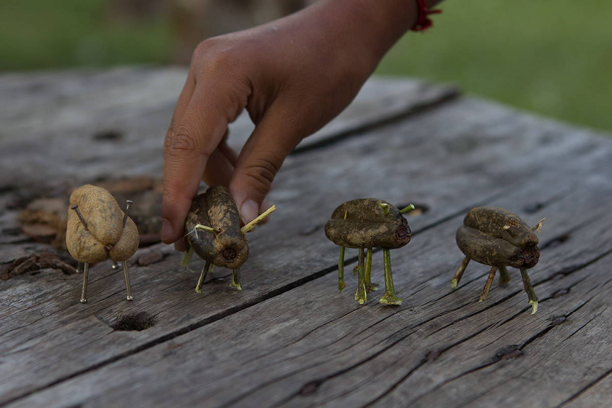 Foto ilustrando quatro brinquedos feitos com sementes de arvores.