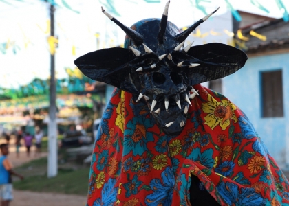 Foto de um bumba meu boi com um tecido multi-florido.