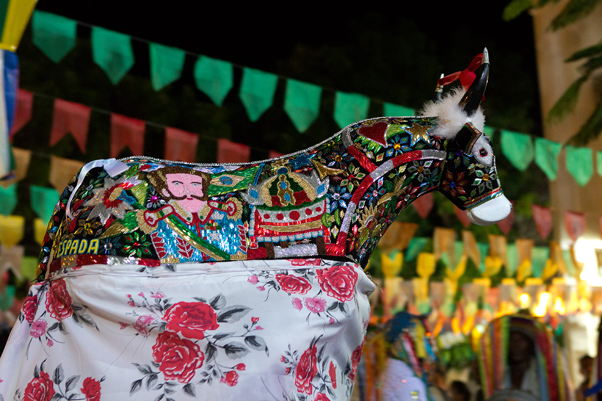 Foto do bumba meu boi, um boi com vários desenhos coloridos em seu corpo.