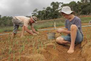Foto com um homem e um adolescente sentado plantando mudas.