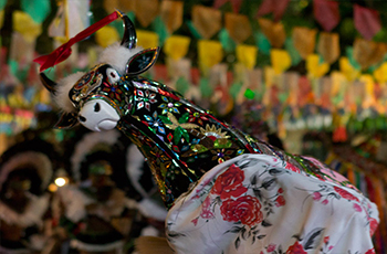 Foto de um bumba meu boi multicolorido, uma faixa vermelha esta amarrada em seus chifres.