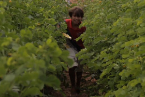 Foto de um garoto brincando e correndo em meio a uma plantação.