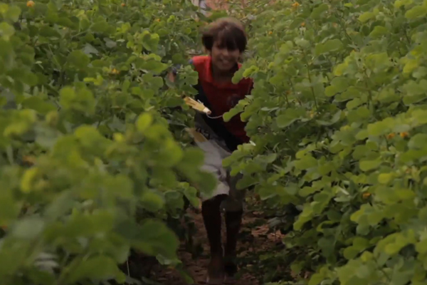 Foto de um garoto brincando e correndo em meio a uma plantação.
